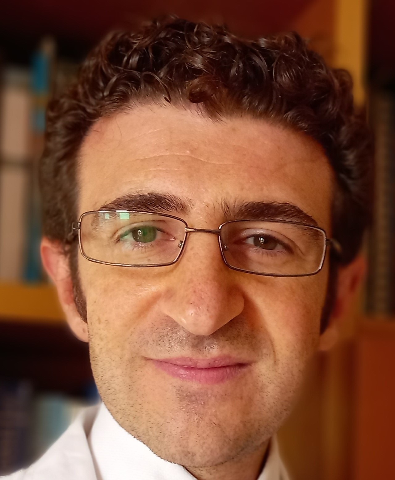Prof. Francesco Bellanti